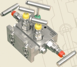 Five - Valve, Direct Mounting - T Type - Prisma