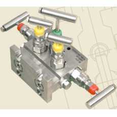 Five - Valve, Direct Mounting - T Type - Prisma