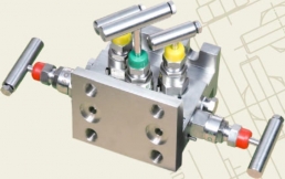 Five - Valve, Direct Mounting - H Type - Prisma