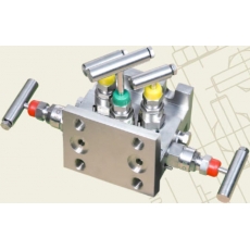 Five - Valve, Direct Mounting - H Type - Prisma